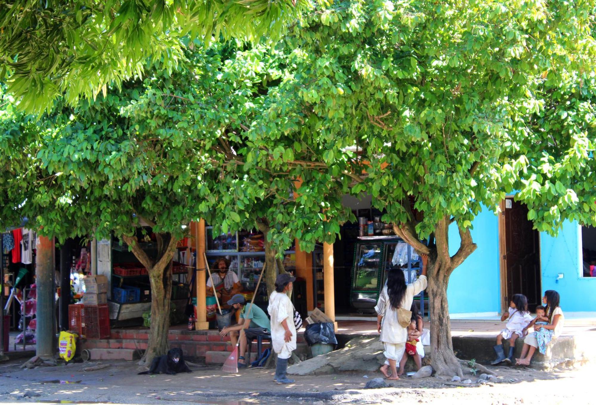 Bella Flor Hostel Palomino Exterior foto